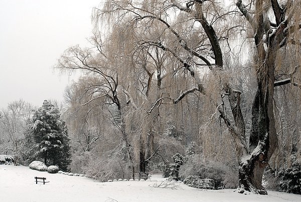 2008 01 01 Edwards Gradens 2.jpg