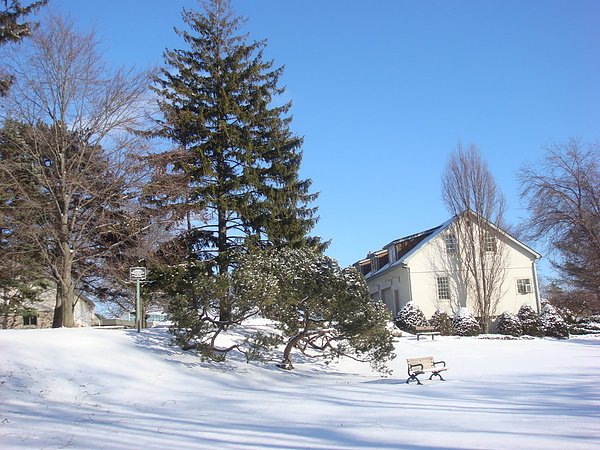 Winter.jpg