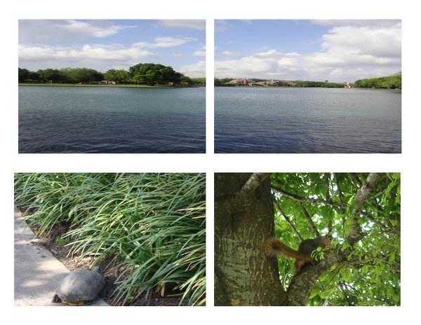 lake.jpg