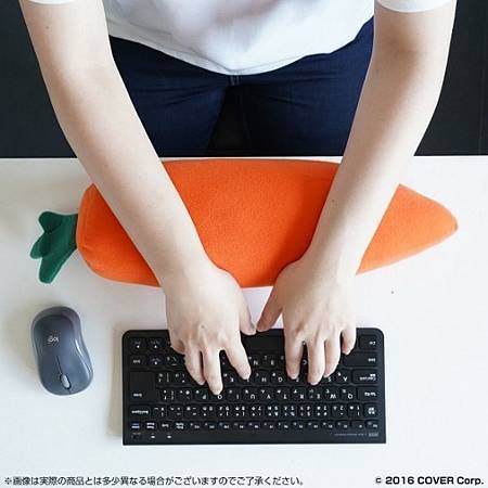 萬代兔田佩可菈購入紀錄(PREMIUM BANDAI PC 