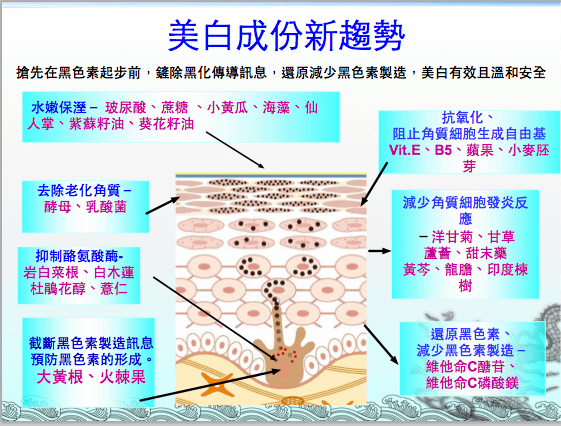 螢幕快照 2013-03-13 下午9.57.33