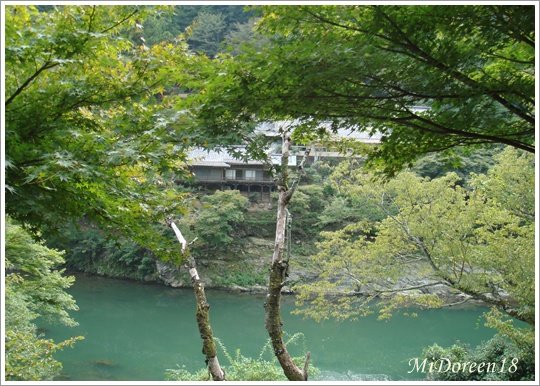 照片 062.jpg