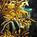 DSC04659.jpg