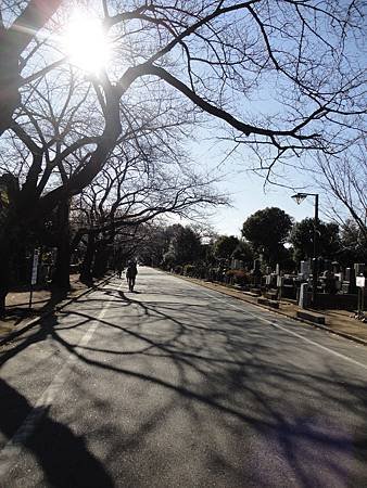 DSC08857.jpg