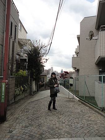 DSC08894.jpg