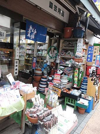 DSC08906.jpg