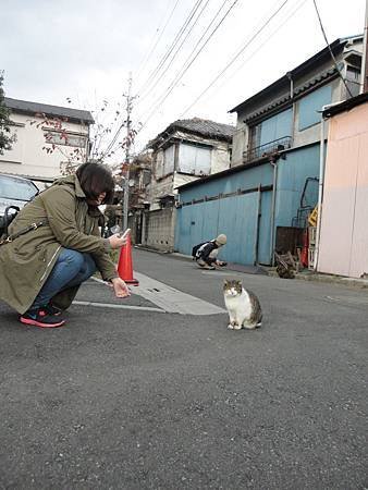 DSC08939.jpg