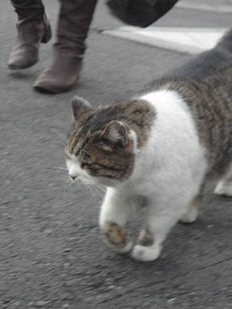 DSC08943.jpg