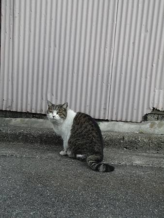 DSC08946.jpg