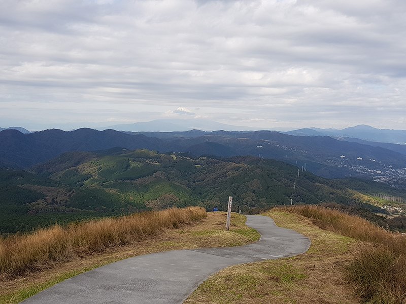 20181116_115442.jpg