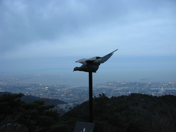 IMG_1757.jpg