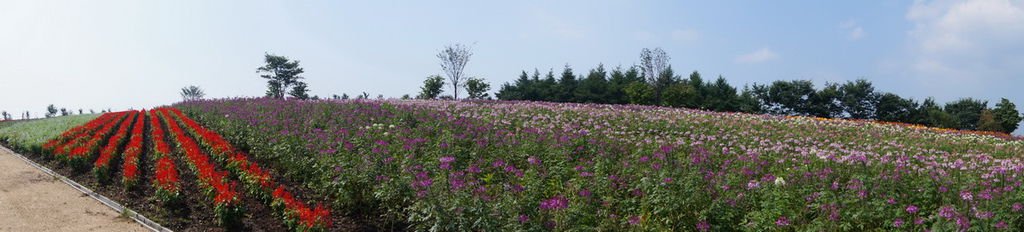 DSC06057_調整大小_調整大小