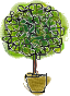 grass6.gif