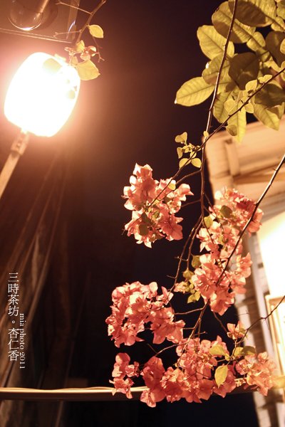 IMG_5233拷貝.jpg