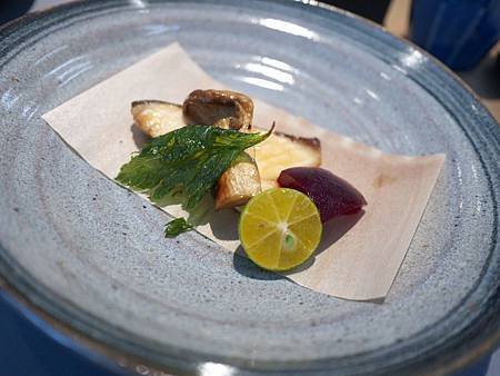 P1040552.jpg