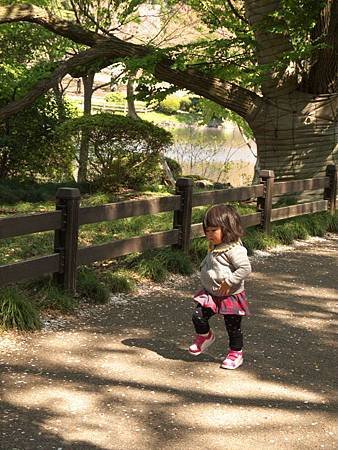 P1040072.jpg