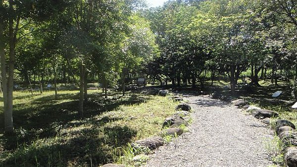 DSC01547.JPG