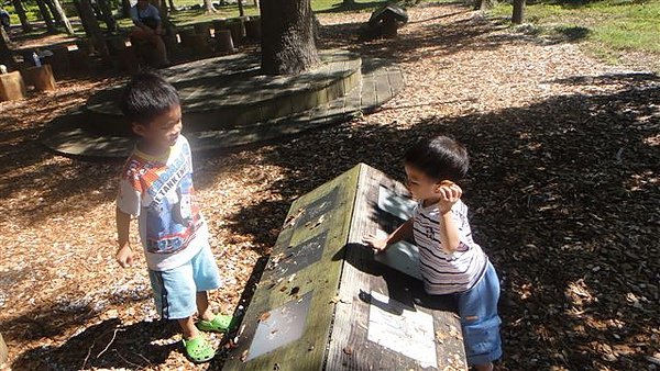 DSC01558.JPG