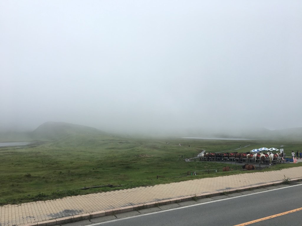 ▌熊本 Day2 ▌阿蘇火山、草千里，目睹冒煙中的活火山