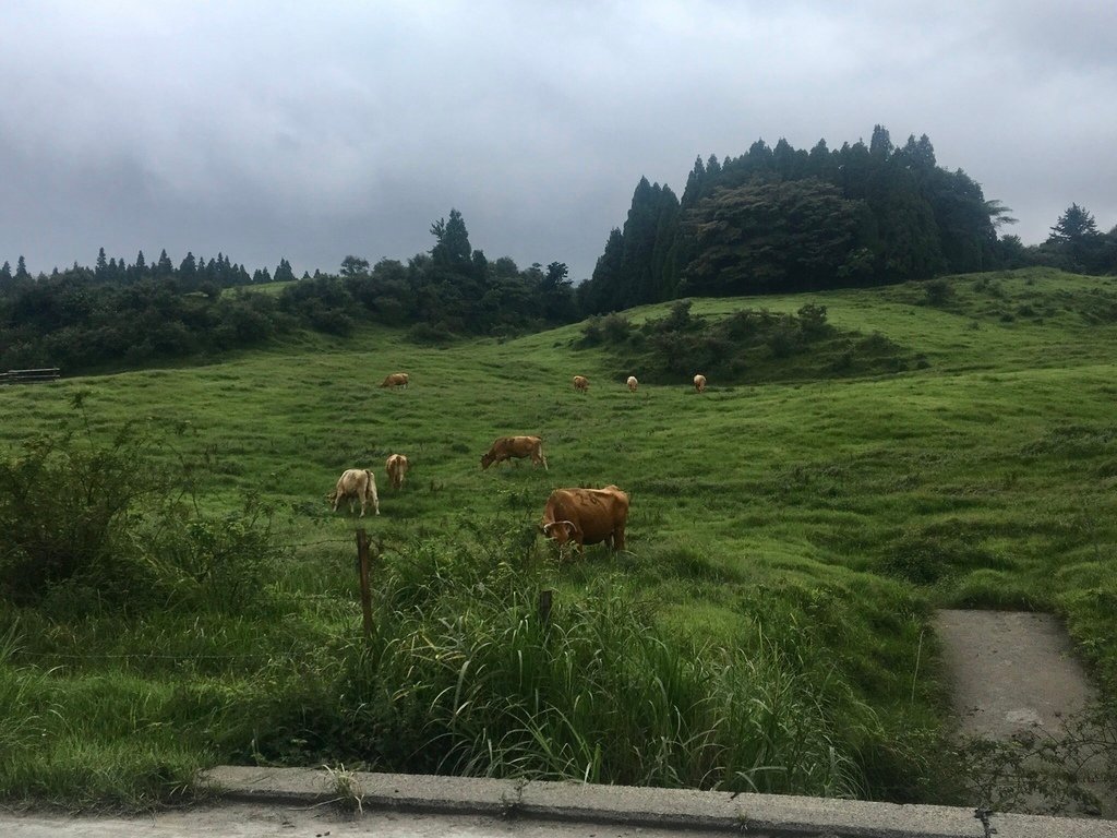 ▌熊本 Day2 ▌阿蘇火山、草千里，目睹冒煙中的活火山