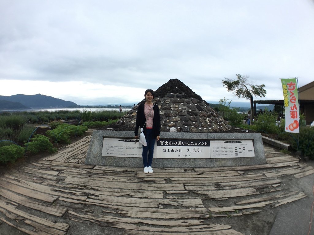 ▌富士山 Day3  ▌大石公園 : 坐擁富士山美景、薰衣草