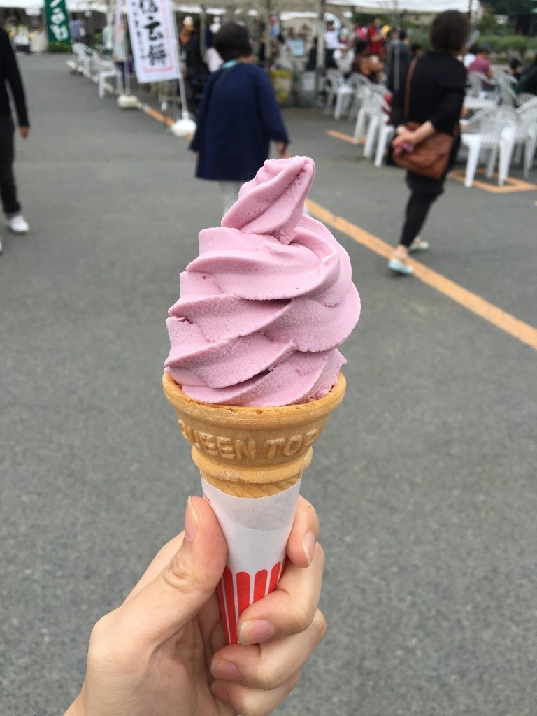 ▌富士山 Day3  ▌大石公園 : 坐擁富士山美景、薰衣草