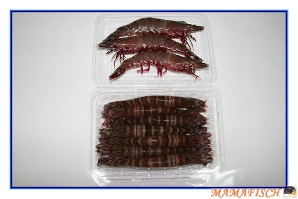斑節蝦-小-一盒0.5公斤500元.jpg
