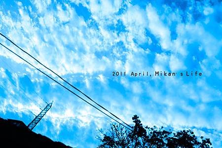 _MG_0074.jpg