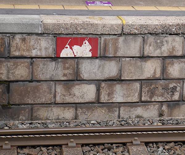 P1090977-crop.JPG