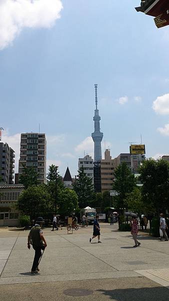DSC_0909.JPG