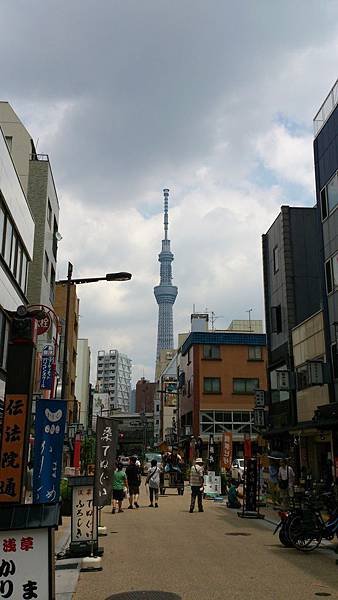 DSC_0921.JPG