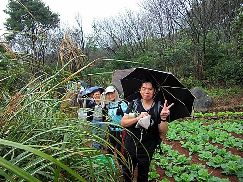 2010年10月30日 大屯西鋒西南稜線(登山樂)