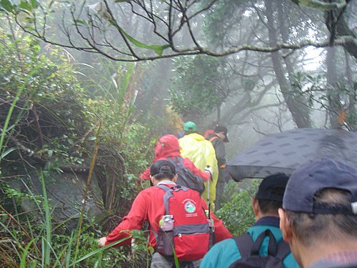 2010年10月30日 大屯西鋒西南稜線(登山樂)