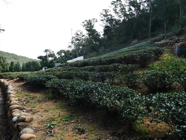 P1060419.JPG