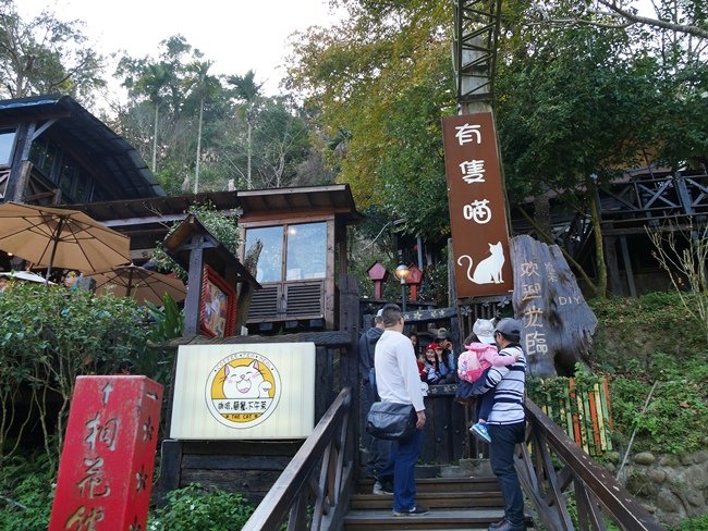 P1060579.JPG