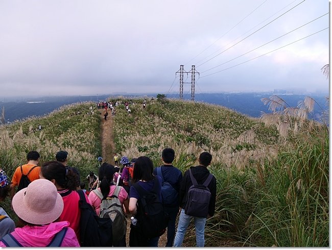 P1090151.JPG