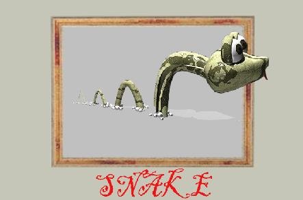 03，SNAKE動畫部分