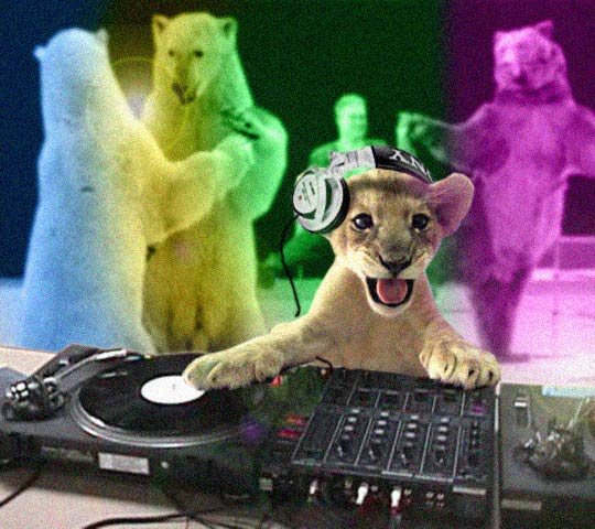 lion_dj.jpg