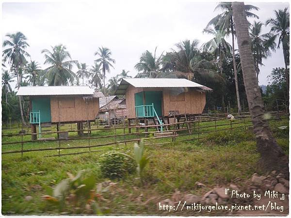 P1000896.JPG