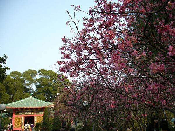0804104.jpg