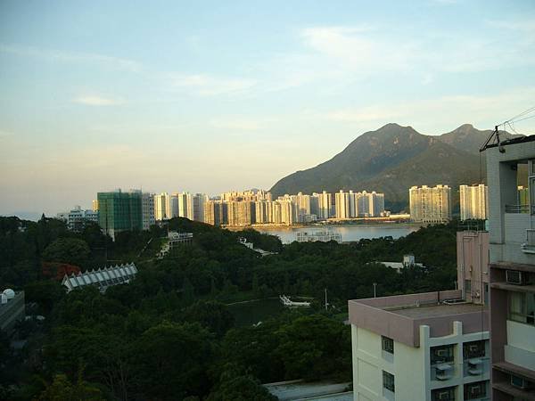 P1060650.JPG