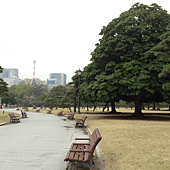 東京皇城附近公園