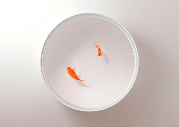 ramón úbeda + otto canalda float fish inside their ‘up in the air’ table