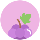 grapes-icon08.png