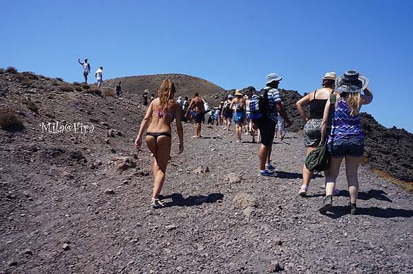 DSC03562