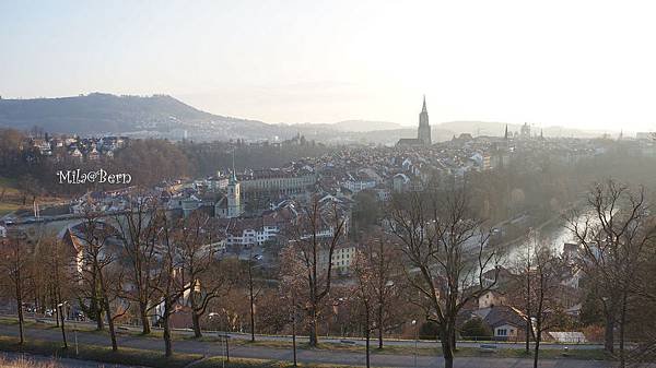 DSC03118.JPG