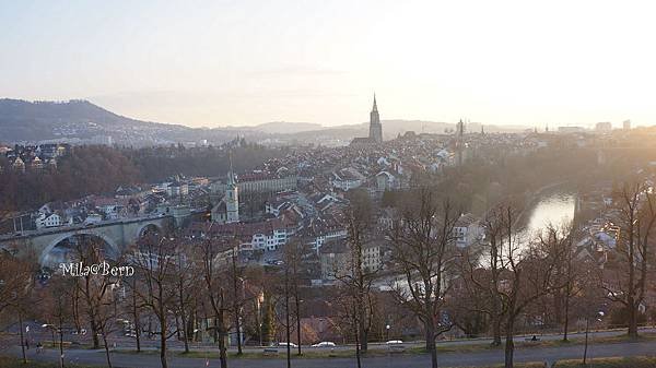 DSC03147.JPG