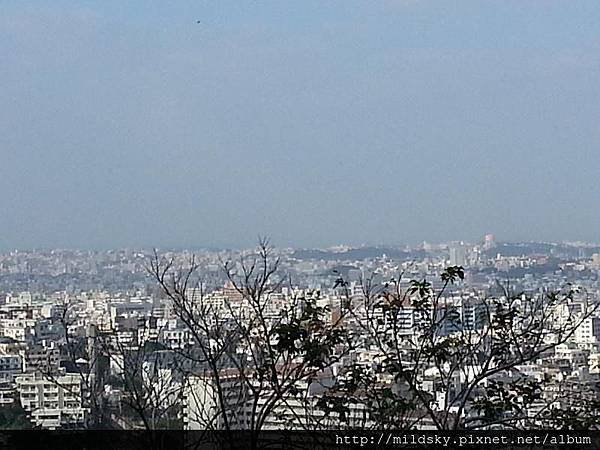 20150215_091849.jpg