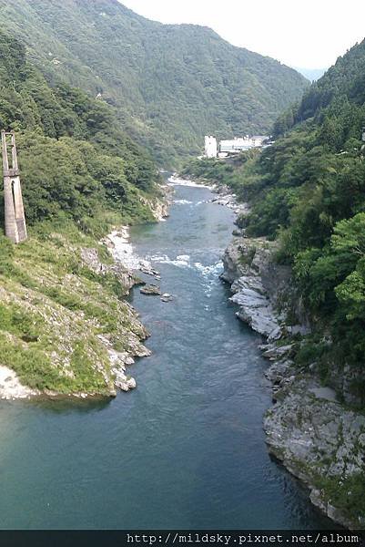 IMAG4898(001).jpg