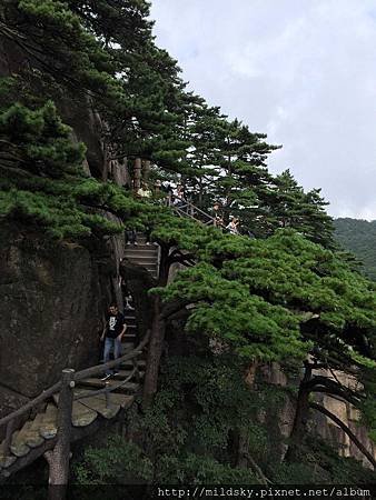 IMG_2822(001).jpg